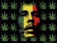 /album/fotogaleria/a2598601bob-marley-cannabis-1-jpg/